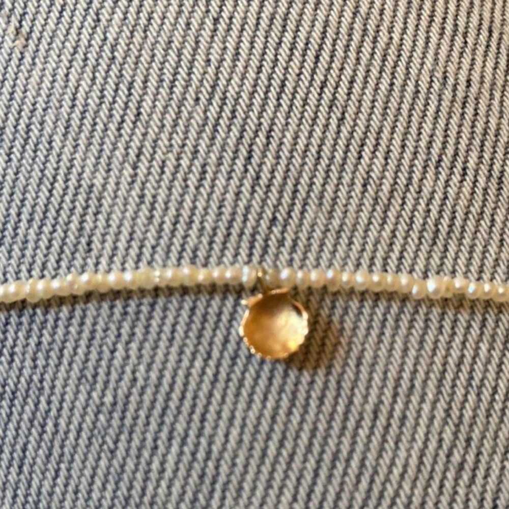 Everlasting Summer Shell Charm, please read description